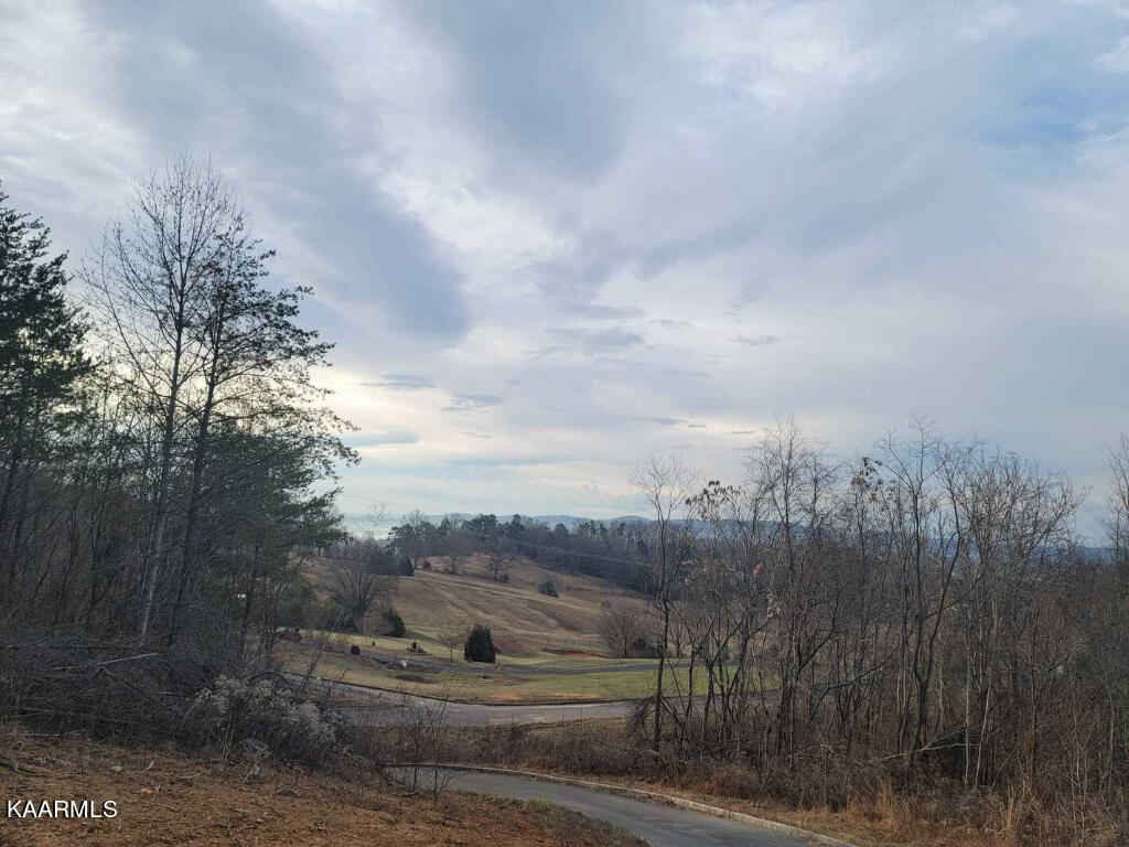 0 Megans Trail Bean Station, TN 37708 - Photo 4 of 16 03