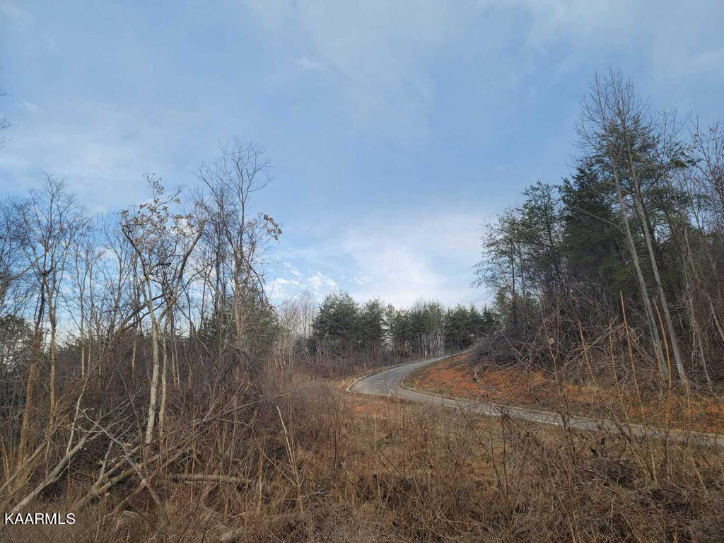 0 Megans Trail Bean Station, TN 37708 - Photo 5 of 16 04