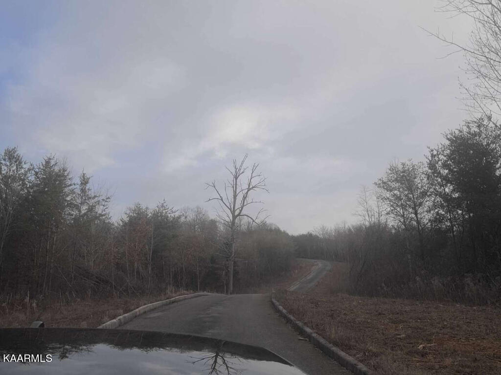 0 Megans Trail Bean Station, TN 37708 - Photo 7 of 16 06