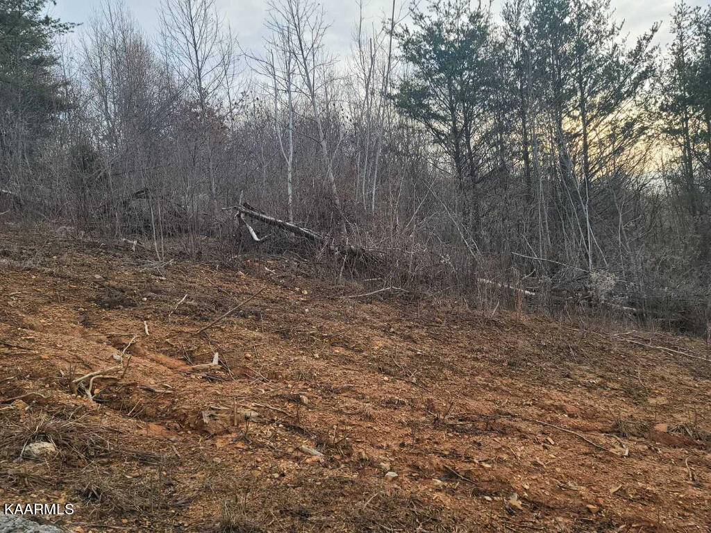 0 Megans Trail Bean Station, TN 37708 - Photo 8 of 16 07