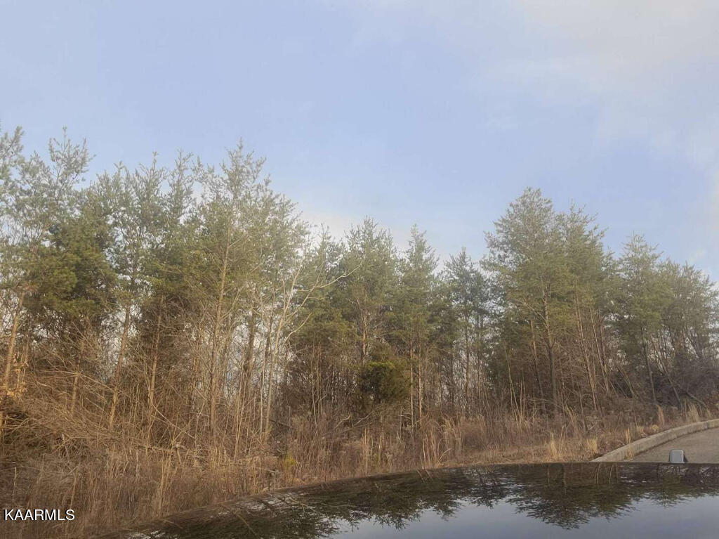 0 Megans Trail Bean Station, TN 37708 - Photo 10 of 16 09