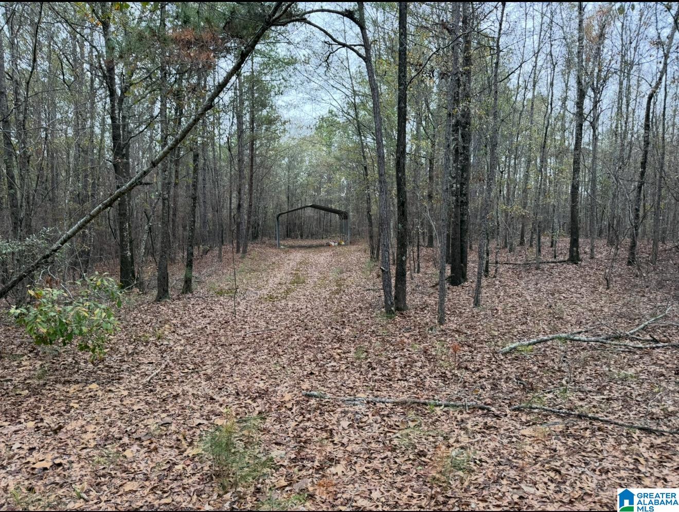 32 North County Road, Unit 1 Deatsville, AL 36022 - Photo 2 of 10