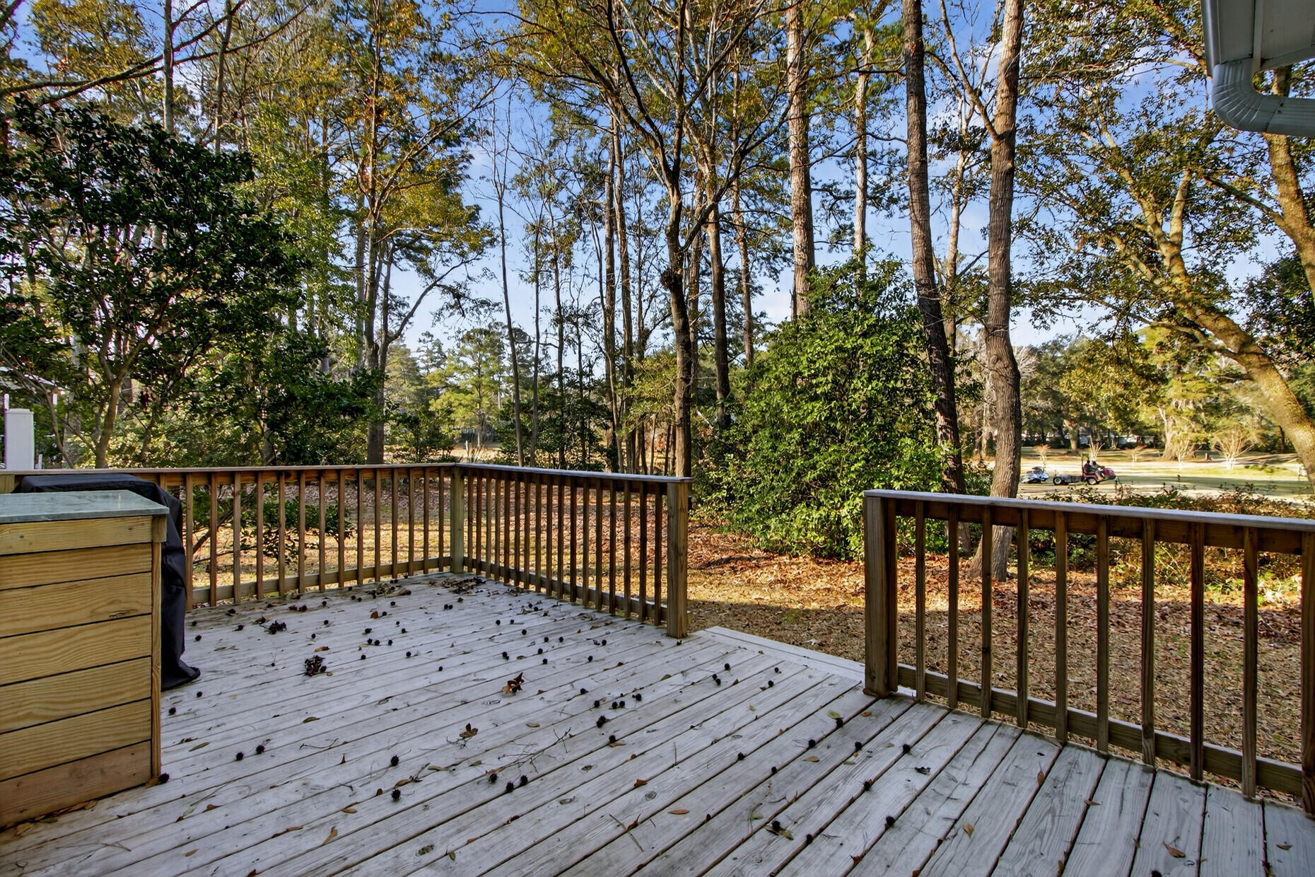 102 Old Course Road Summerville, SC 29485 - Photo 33 of 85 Gallery Image 33