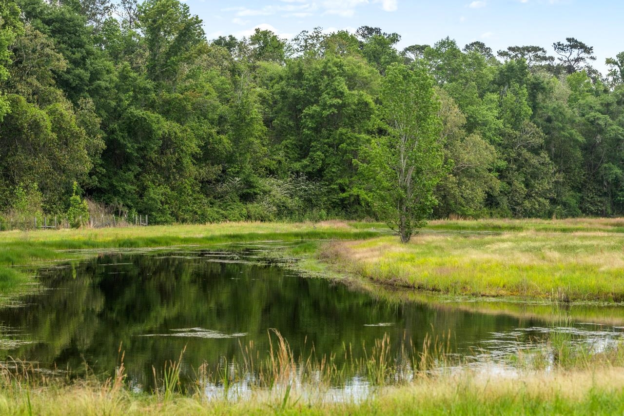 1590 Tyson Road Monticello, FL 32344 - Photo 50 of 56