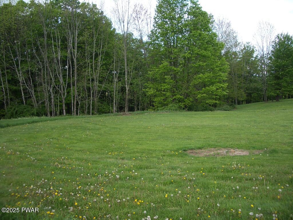 4 Avoy Heights Road Lake Ariel, PA 18436 - Photo 4 of 9