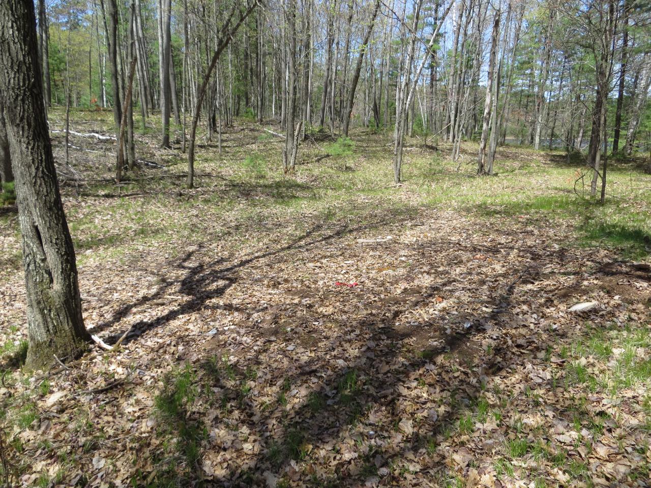 Lot 5 Brandy Lake Road Woodruff, WI 54568 - Photo 9 of 9 Gallery Image 9