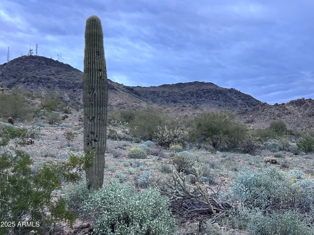 $545,000 | 939 West Mercer Lane, Phoenix, AZ 85029