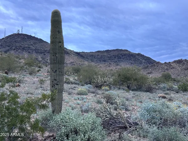 a kitchen with stainless steel appliances granite countertop a stove and a microwave