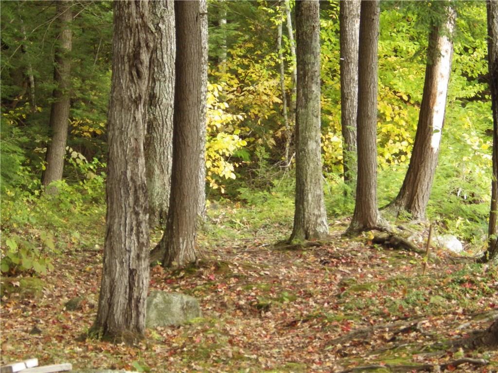 38-40 Blackberry Estates Rome, ME 04963 - Photo 20 of 23 Nice private yard.