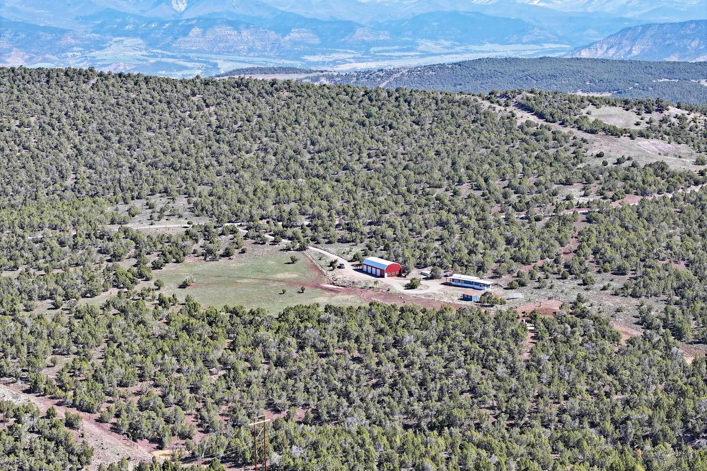 56001 KK Road Molina, CO 81646 - Photo 34 of 42 view of a yard