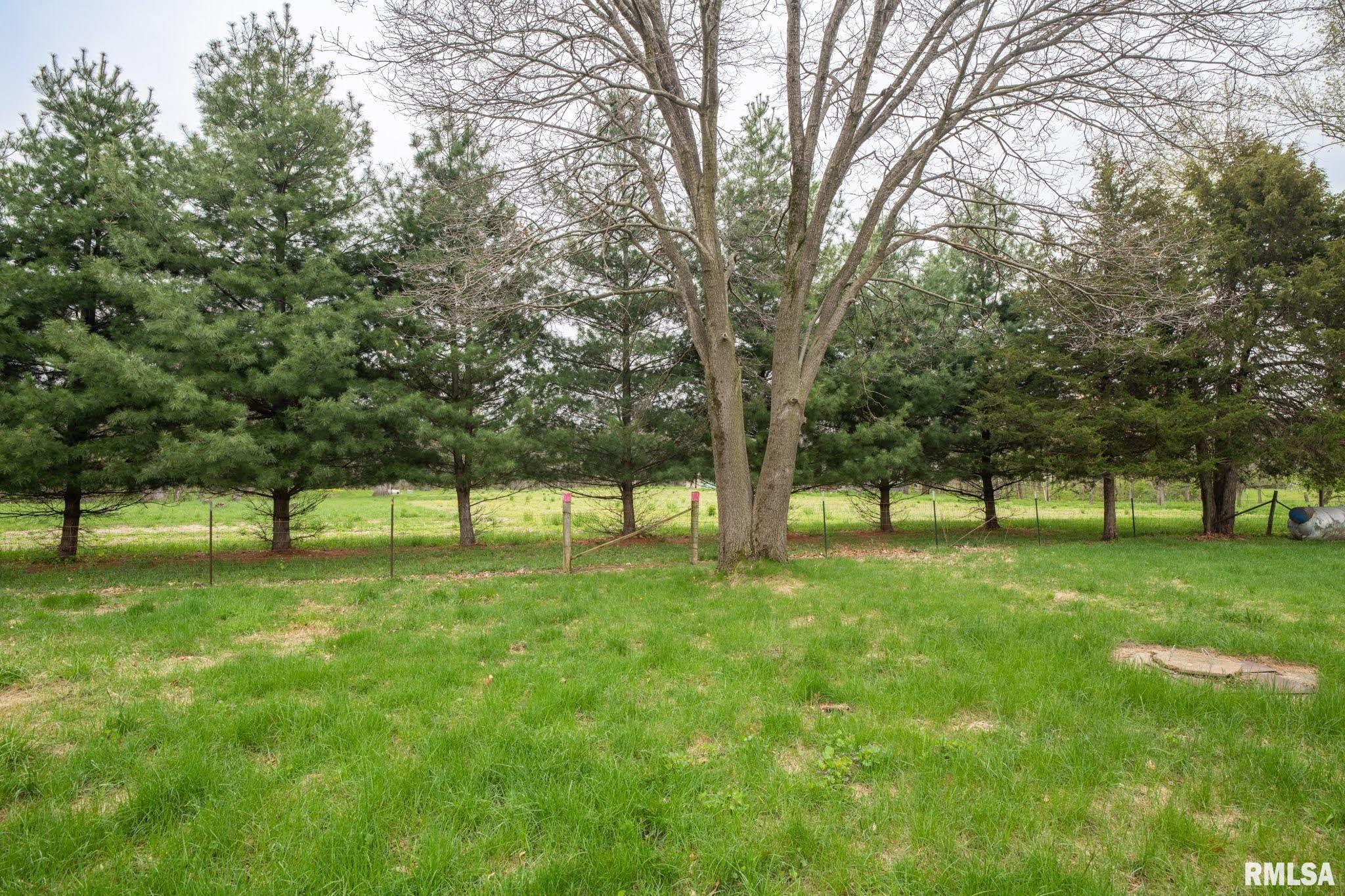 6845 West Dickison Cemetery Road Dunlap, IL 61525 - Photo 48 of 50 Gallery Image 48