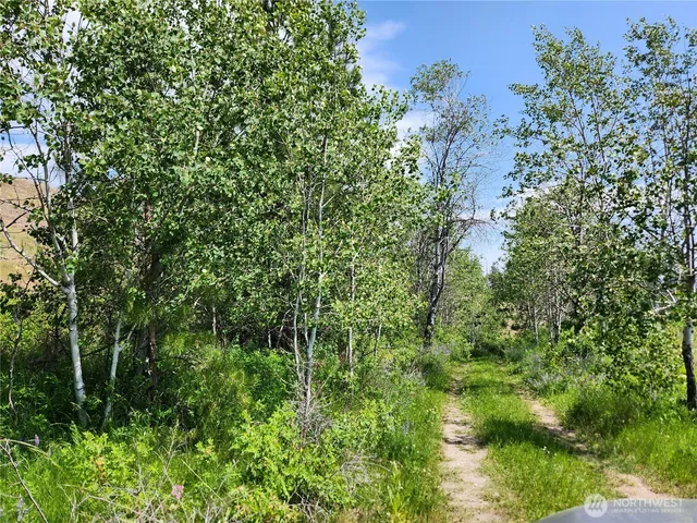 $82,000 | 0 Roundabout Road, Tonasket, WA 98855