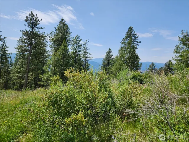 $79,900 | 0 Roundabout Road, Tonasket, WA 98855