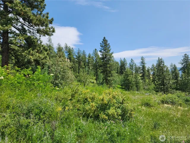 $79,900 | 0 Roundabout Road, Tonasket, WA 98855