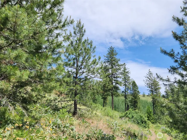 $79,900 | 0 Roundabout Road, Tonasket, WA 98855