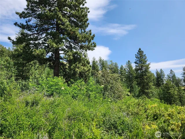 $79,900 | 0 Roundabout Road, Tonasket, WA 98855