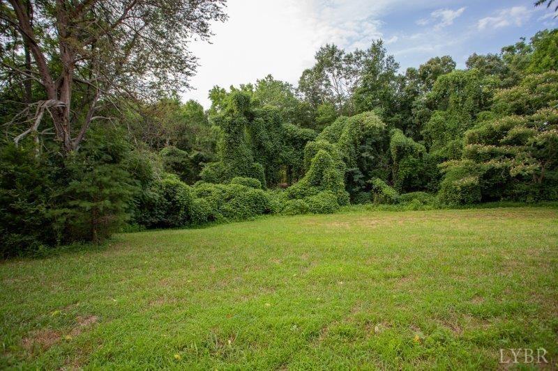 1161 Hickory Road Chatham, VA 24531 - Photo 9 of 40 Gallery Image 9