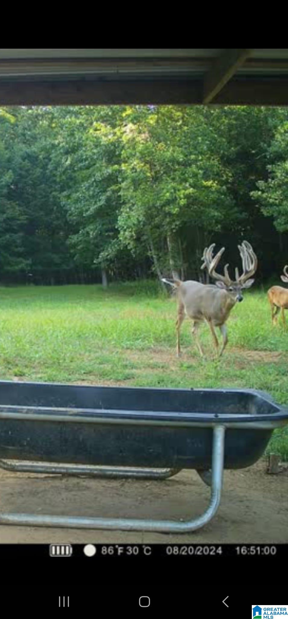 0 Burger Curb Road Marion, AL 36756 - Photo 19 of 59