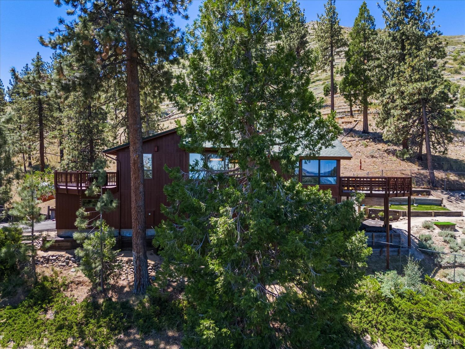 4201 Sandy Circle Carson City, NV 89703 - Photo 4 of 40 a view of a house with a plants and garden