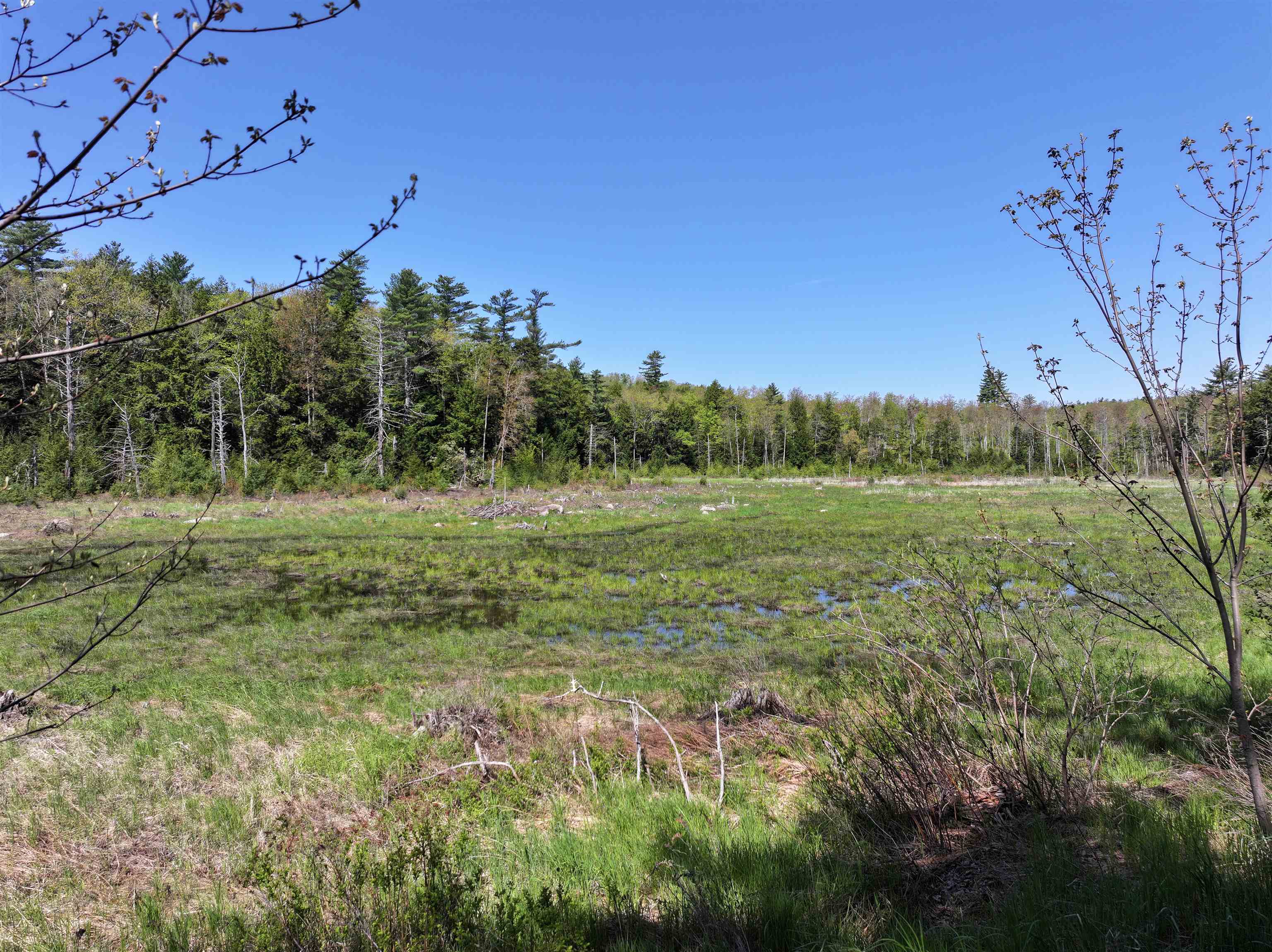 0 Brown Road Bradford, NH 03221 - Photo 1 of 16 Gallery Image 1