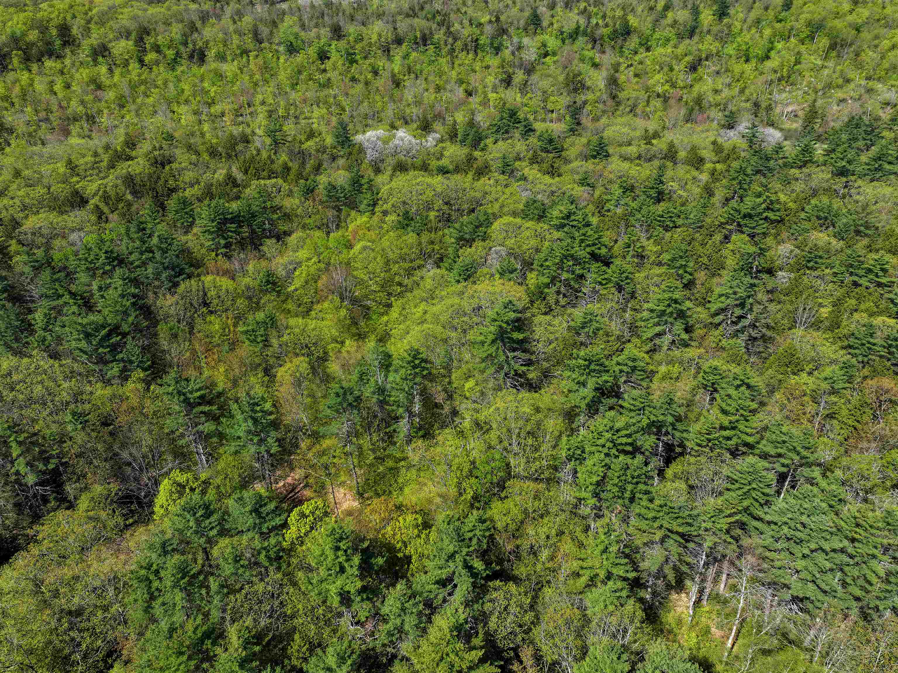 0 Brown Road Bradford, NH 03221 - Photo 6 of 16 Gallery Image 6