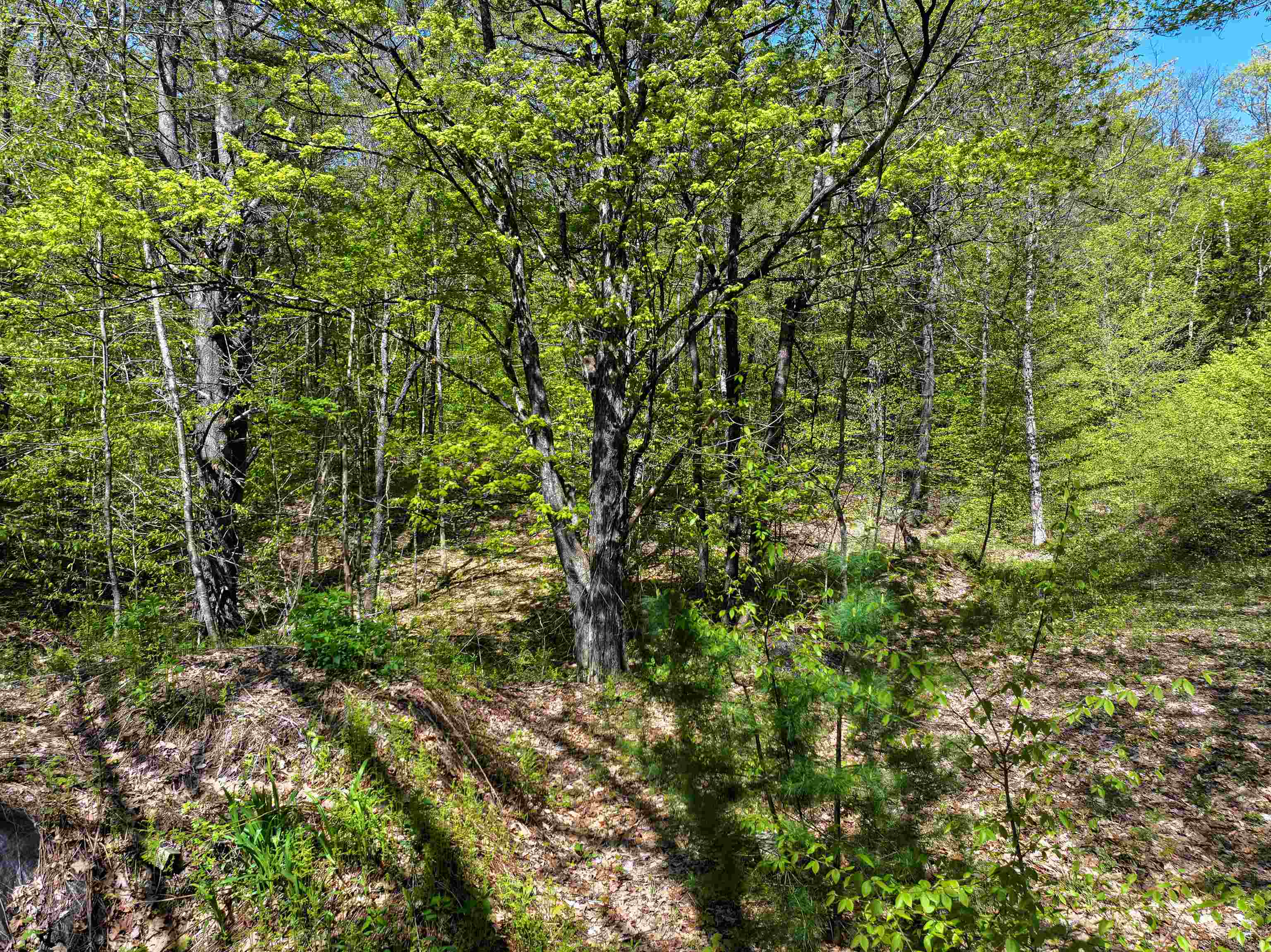 0 Brown Road Bradford, NH 03221 - Photo 10 of 16 Gallery Image 10