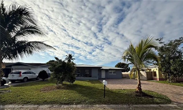 a palm tree sitting in front of a house with a yard
