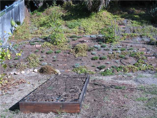 14125 Frame Road Poway, CA 92064 - Photo 17 of 25 This gentle inclining backyard offers an amazing array of tree's, vines, plants and yet...has room for YOU to put your imprint on nature...