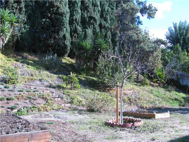 14125 Frame Road Poway, CA 92064 - Photo 18 of 25 Backyard to right of previous picture! Large and spacious!