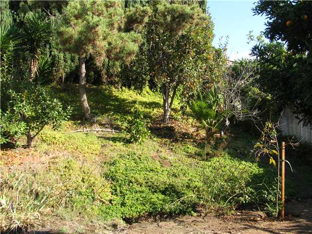 14125 Frame Road Poway, CA 92064 - Photo 24 of 25 Backyard certainly feels like more than an 8,400 sqft lot - composting bin tucked neatly away behind one of the lovely tree's~