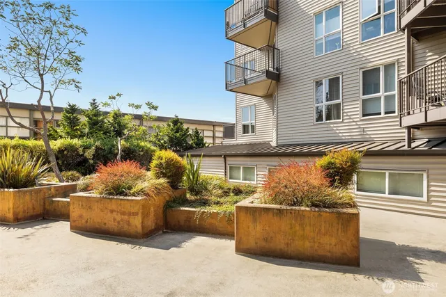 a view of a patio with couches and potted plants