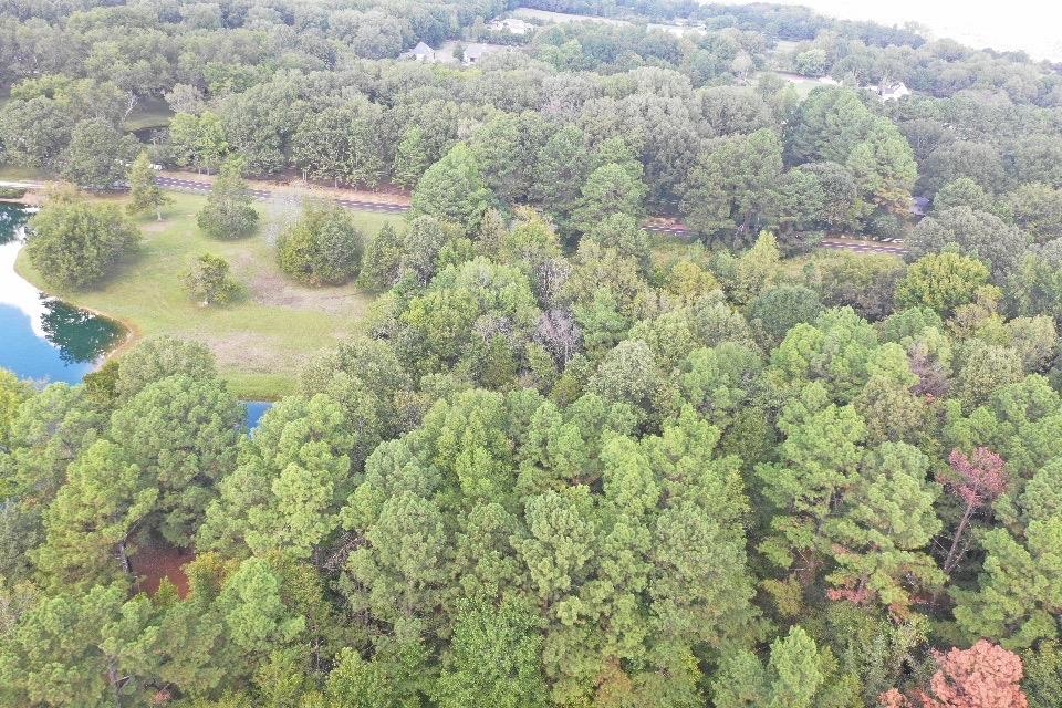 11957 East Holmes Road Collierville, TN 38017 - Photo 3 of 4 Bird's eye view of a large body of water and a heavily wooded area