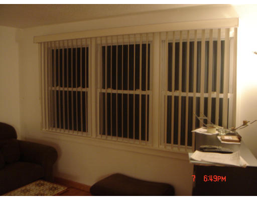 137 Canterbury Road Springfield, MA 01118 - Photo 22 of 24