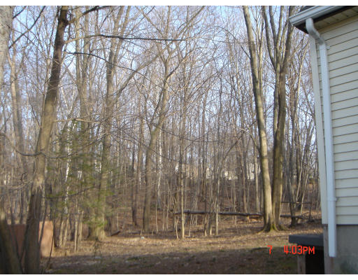 137 Canterbury Road Springfield, MA 01118 - Photo 7 of 24