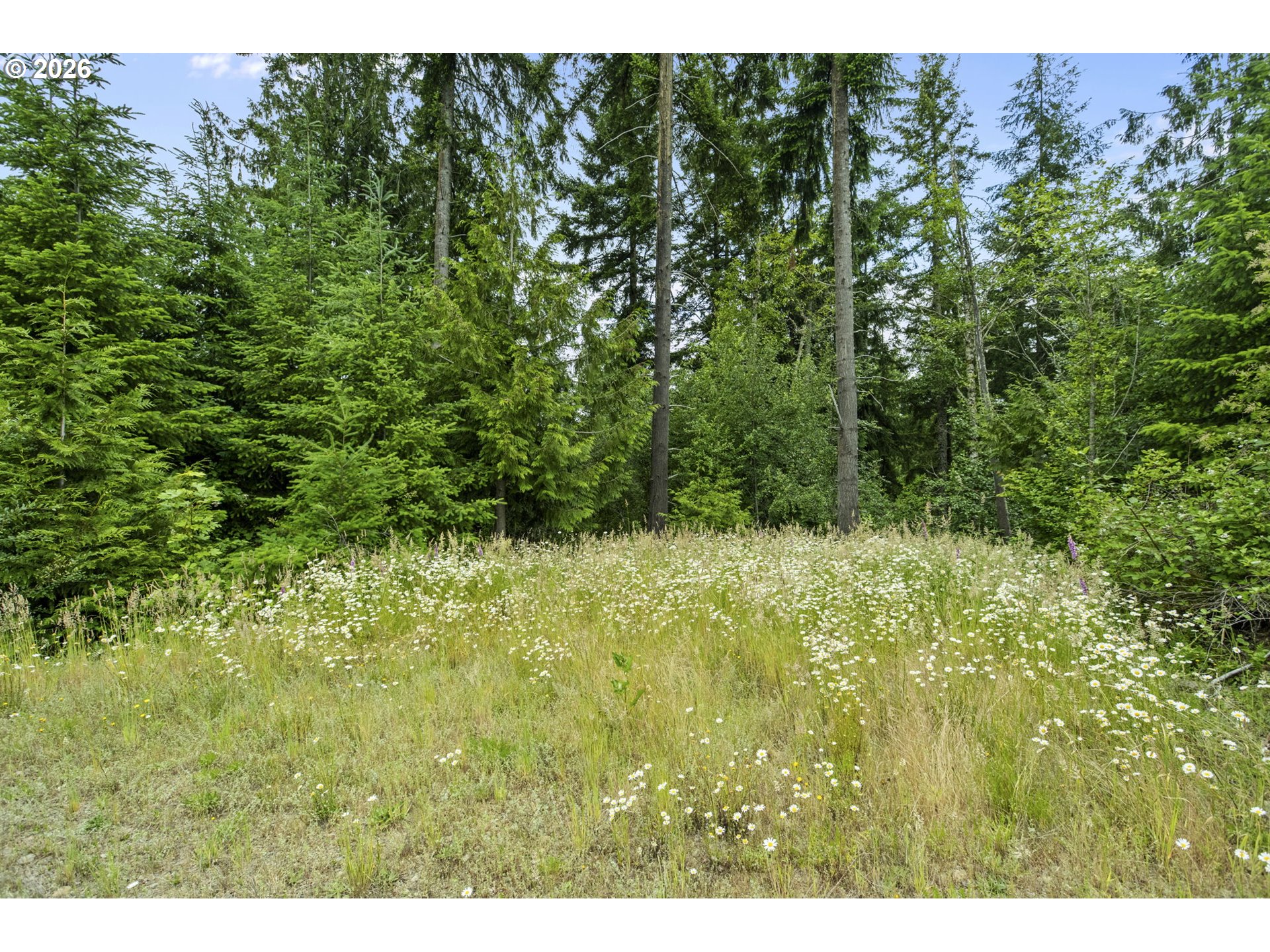 104 Bootjack Lane Kelso, WA 98626 - Photo 17 of 31 Acreage