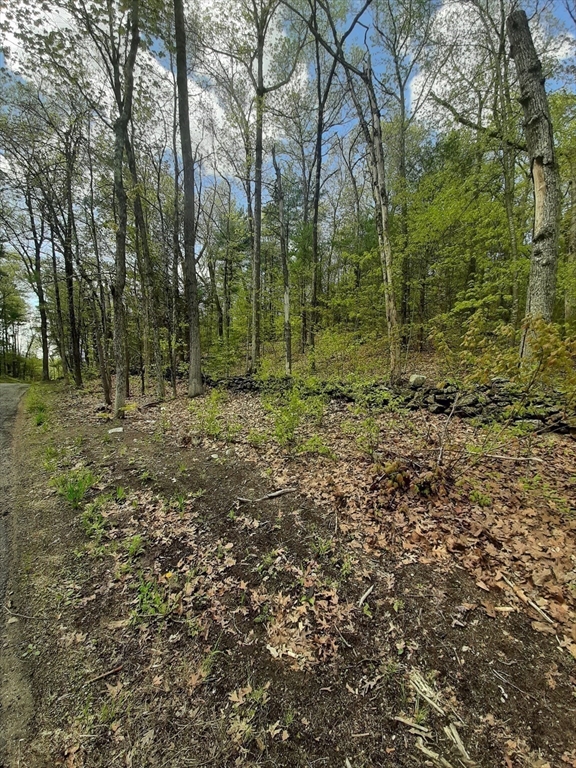 0 Paige Hill Road Brimfield, MA 01010 - Photo 5 of 6 Gallery Image 5