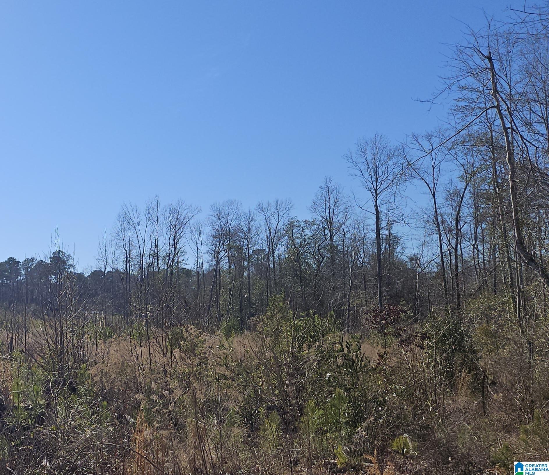 1 County Road 36, Unit 1 Randolph, AL 36792 - Photo 2 of 6