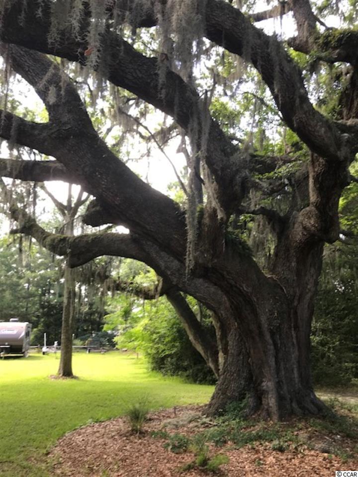 Lot Gr6 Murrells Inlet Road Murrells Inlet, SC 29576 - Photo 1 of 3