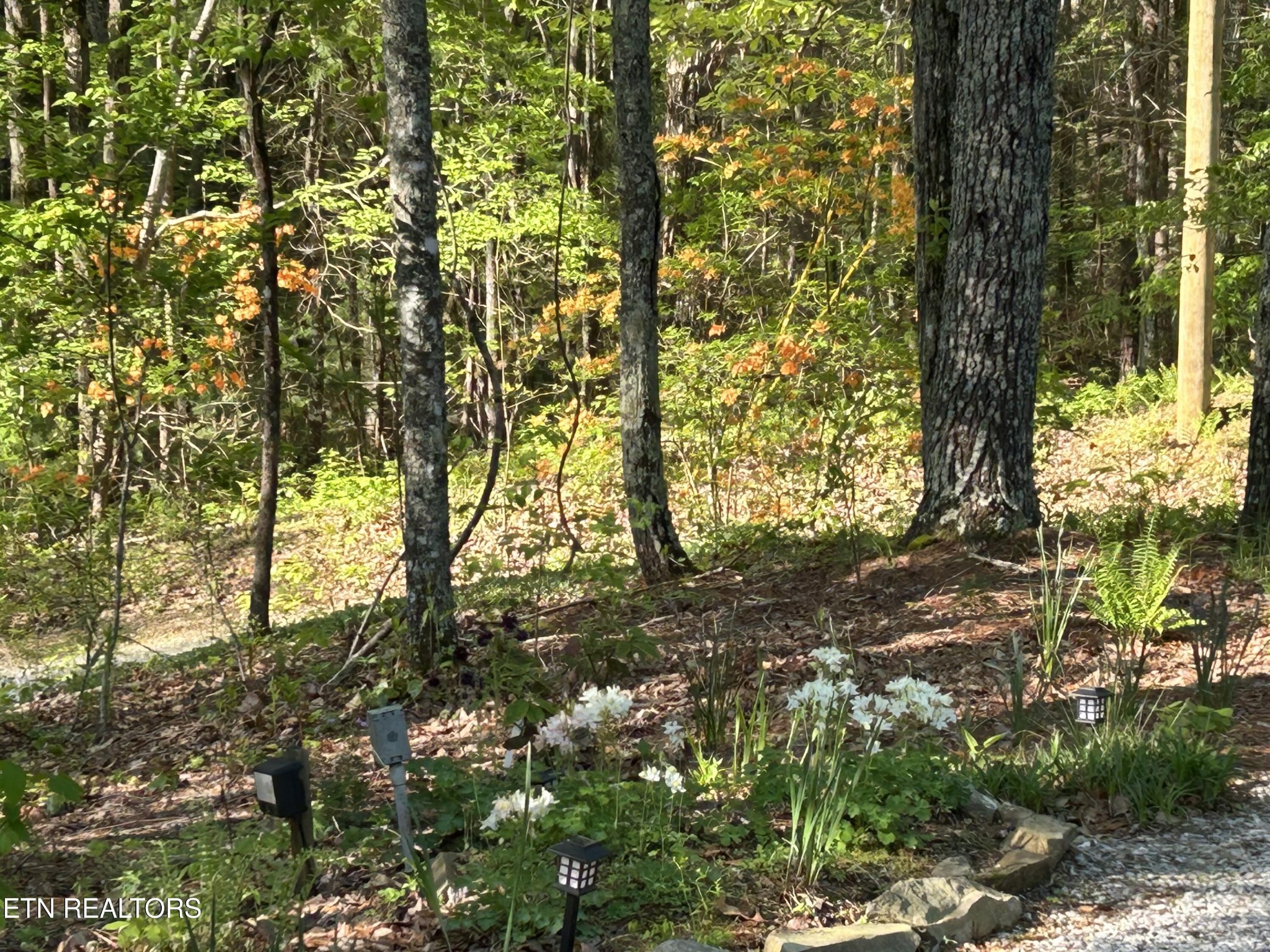 151 Gold Miners Road Tellico Plains, TN 37385 - Photo 46 of 58 Gallery Image 46