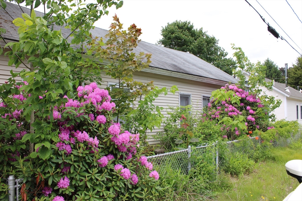 3 Ledge Street Sutton, MA 01590 - Photo 2 of 12 a view of a house with a lot of flower plants