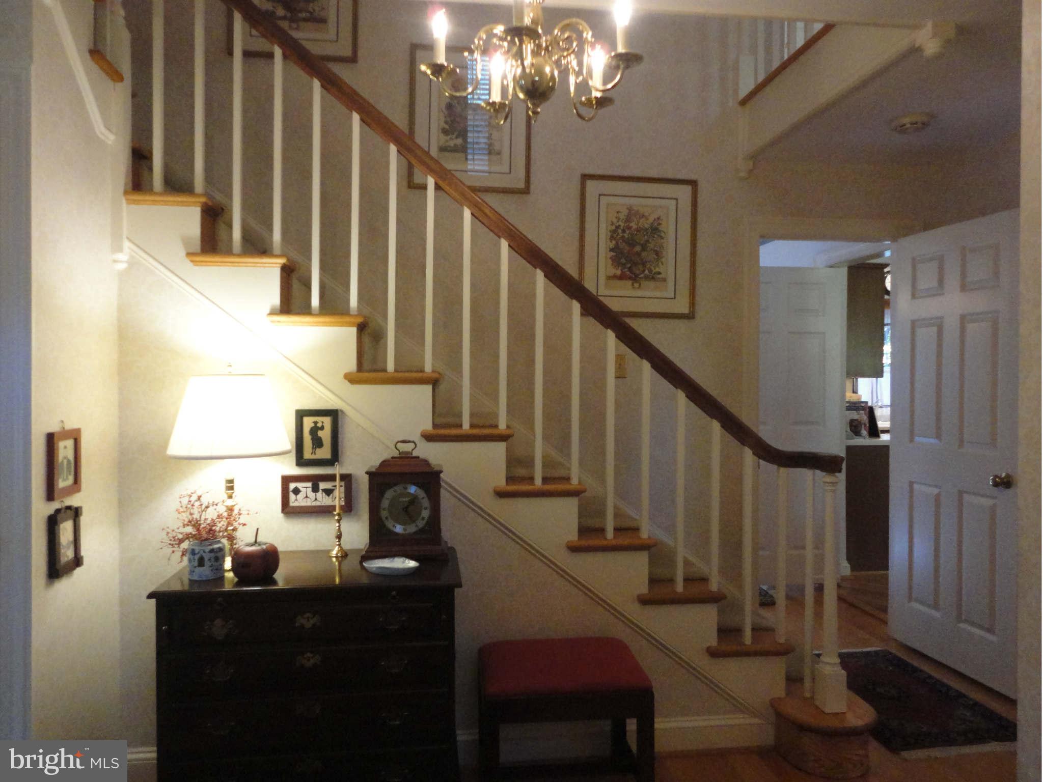 Interior (General)