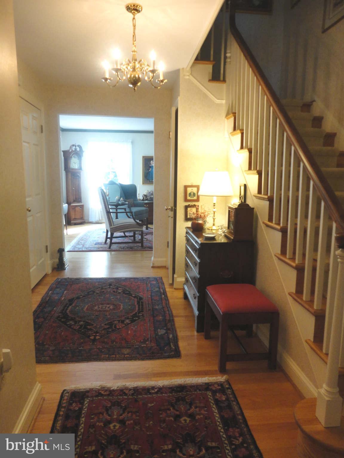 Interior (General)