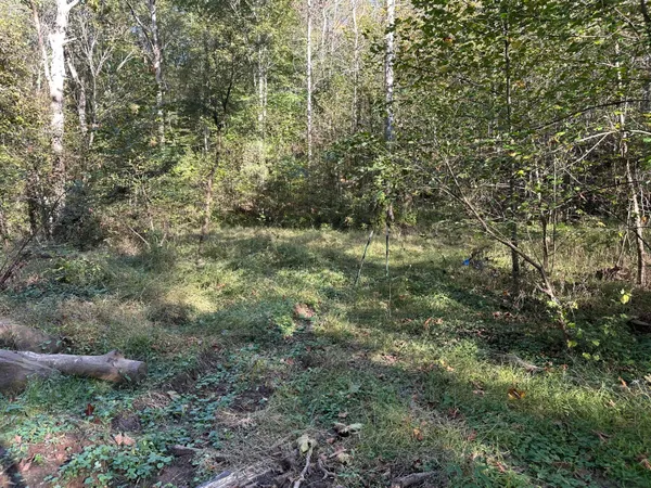 $80,000 | 39454 Boston, Reedsville, OH 45772