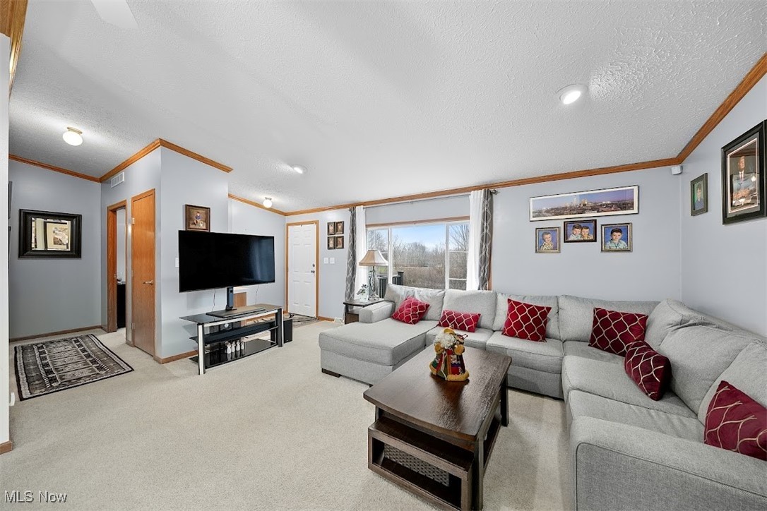 17296 Old State Road Middlefield, OH 44062 - Photo 7 of 44 Carpeted living room featuring crown molding, a textured ceiling, and vaulted ceiling