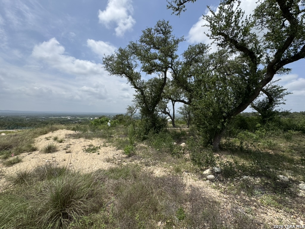686 Butler Oaks Bulverde, TX 78163 - Photo 9 of 11