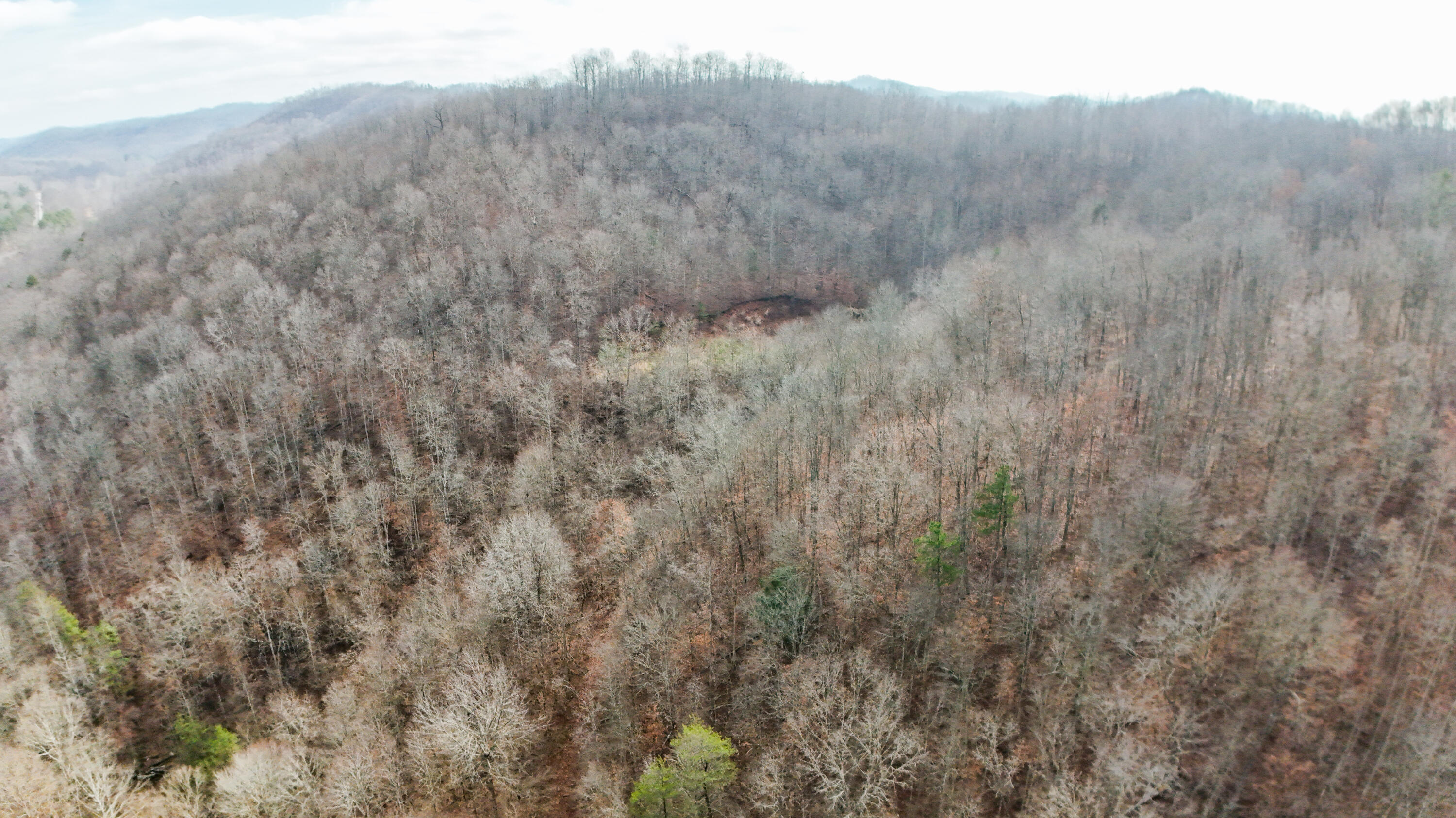 1111 Arkle Road Gray, KY 40734 - Photo 12 of 19 Photo Dec 06 2025, 11 25 50 AM