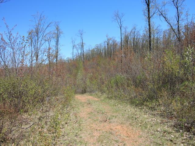 19081 Erickson Drive Dunbar, WI 54119 - Photo 24 of 87