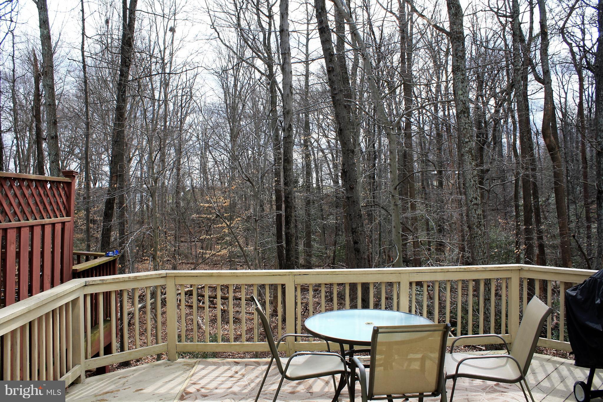 1292 Breckenridge Circle Riva, MD 21140 - Photo 15 of 27 View Quiet Woods View