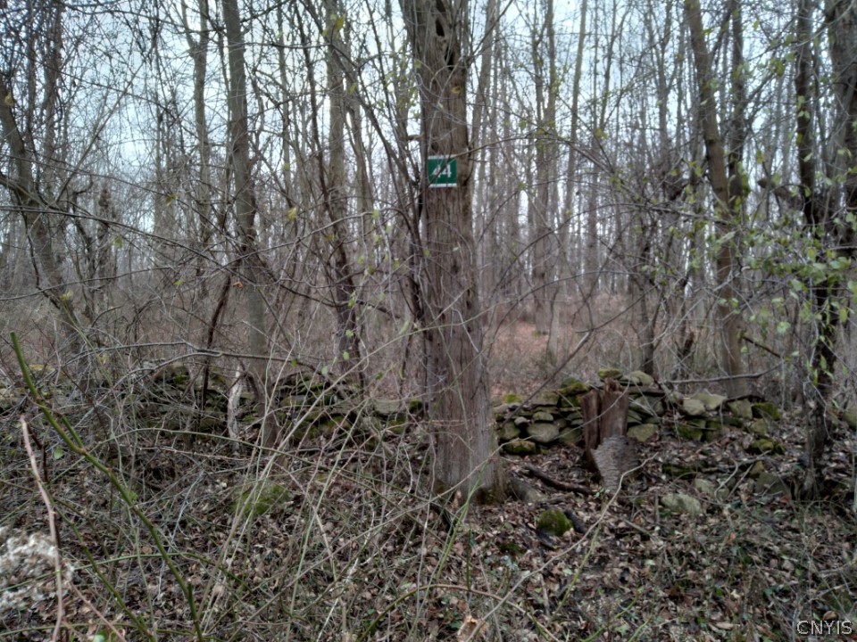 Lot 44 Irwin Road Sterling, NY 13156 - Photo 1 of 1 Gallery Image 1