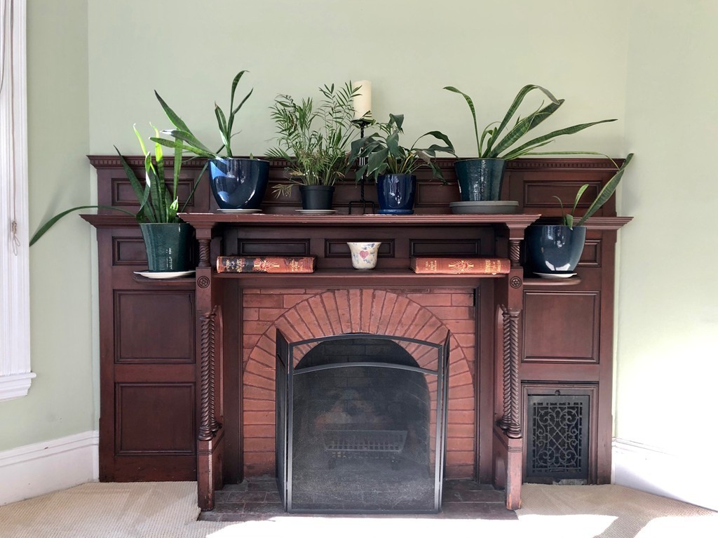 294 Walnut Street, Unit 4 Brookline, MA 02445 - Photo 8 of 13 Gallery Image 8